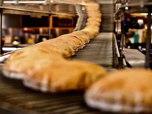 Bakery conveyor carrying pita through a production line